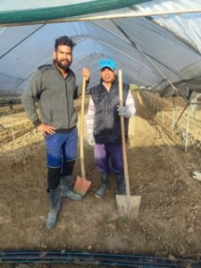 Alt text: Freshly harvested vegetables from AHA FARM