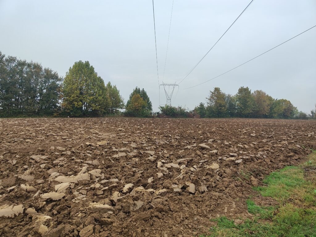  AHA FARM team harvesting fresh organic produce