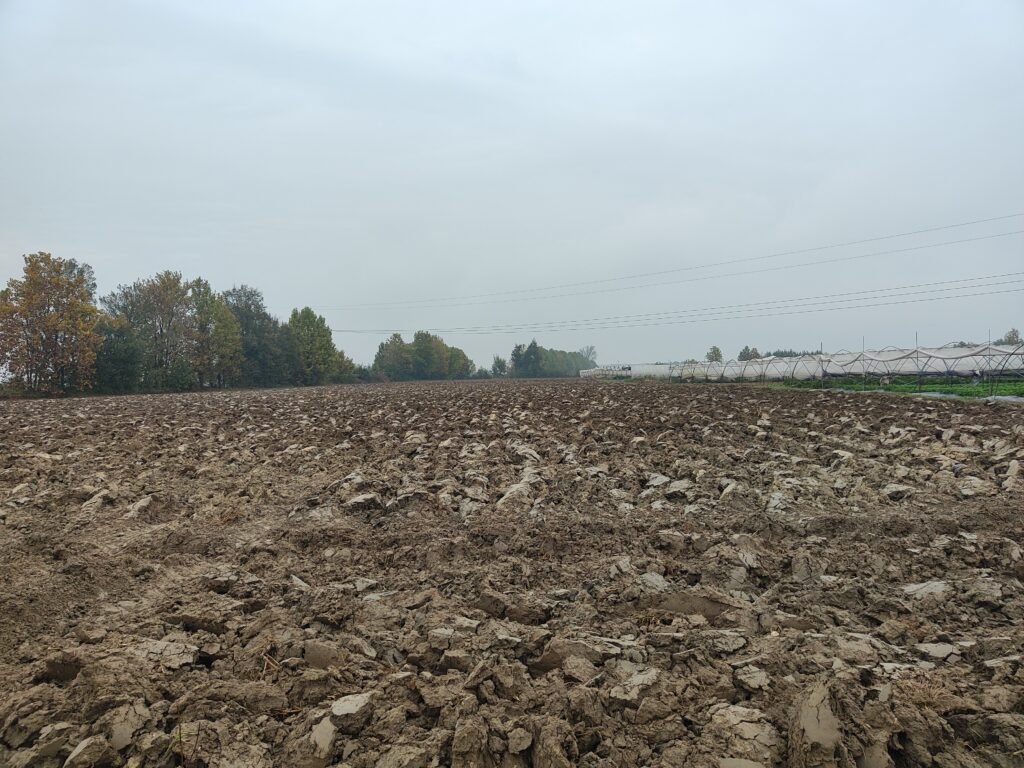 AHA FARM team harvesting fresh organic produce