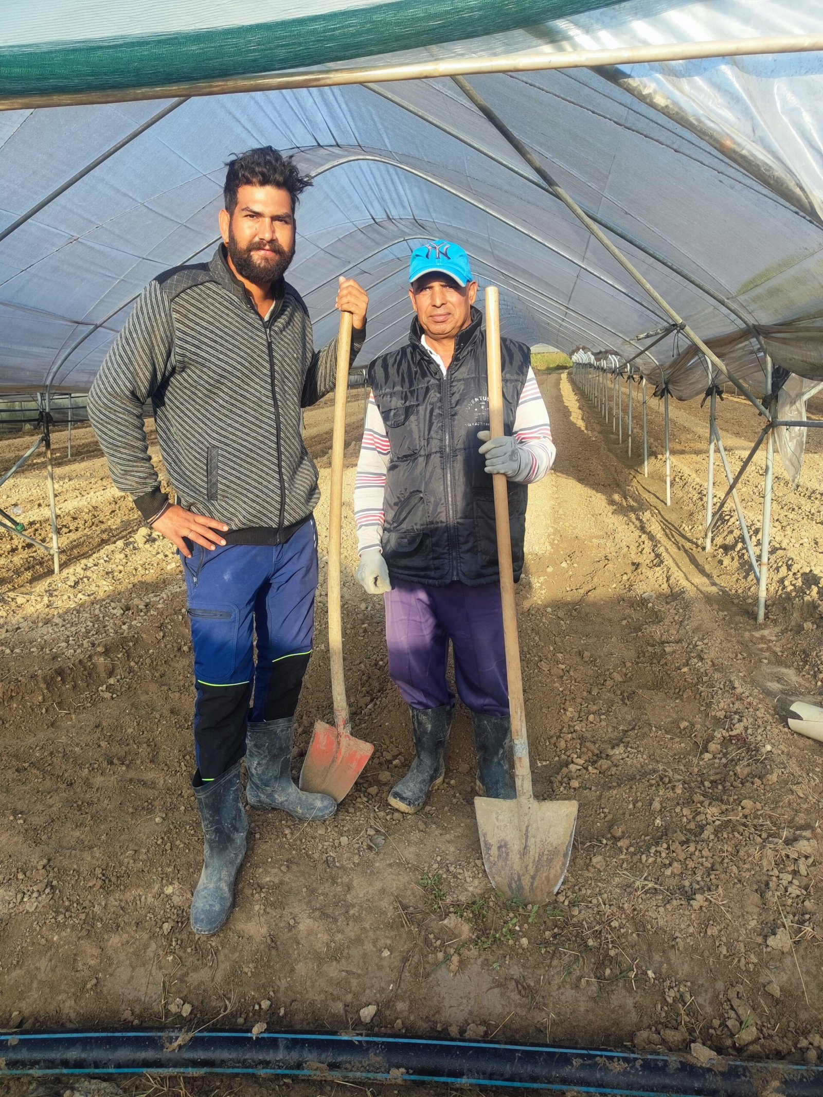 Alt text: Freshly harvested vegetables from AHA FARM