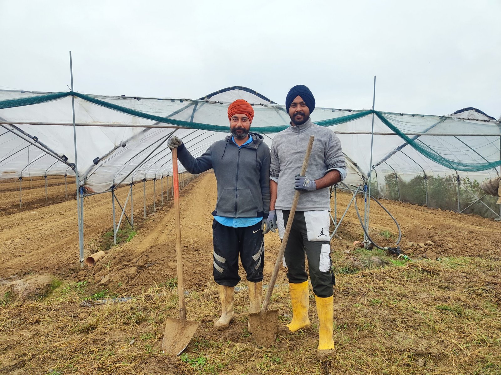 Two smiling farmers prepare the land for a new harvest, with greenhouse tunnels in the background