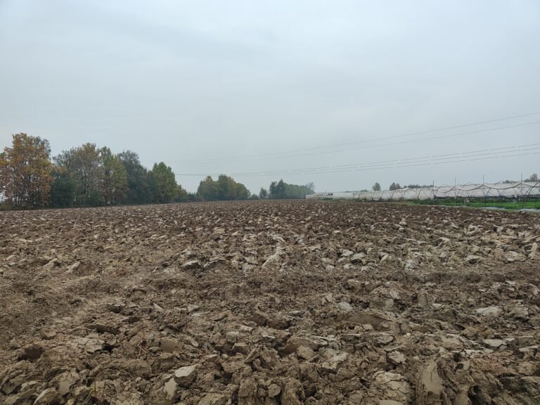 Dedicated Farmers at AHA FARM